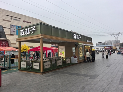 成功案例